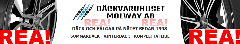 Vinterdäck REA på Däckvaruhuset.se